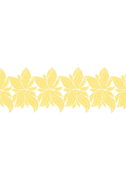 DSI Nicole Lace Ribbon 1800